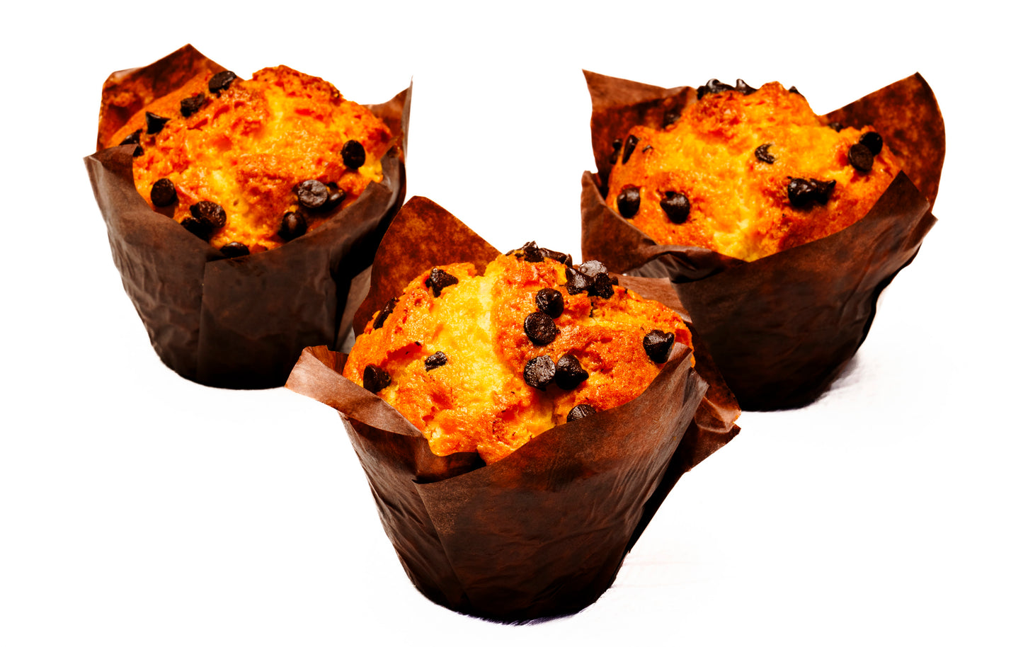 Chocolate Chip Muffin x 3